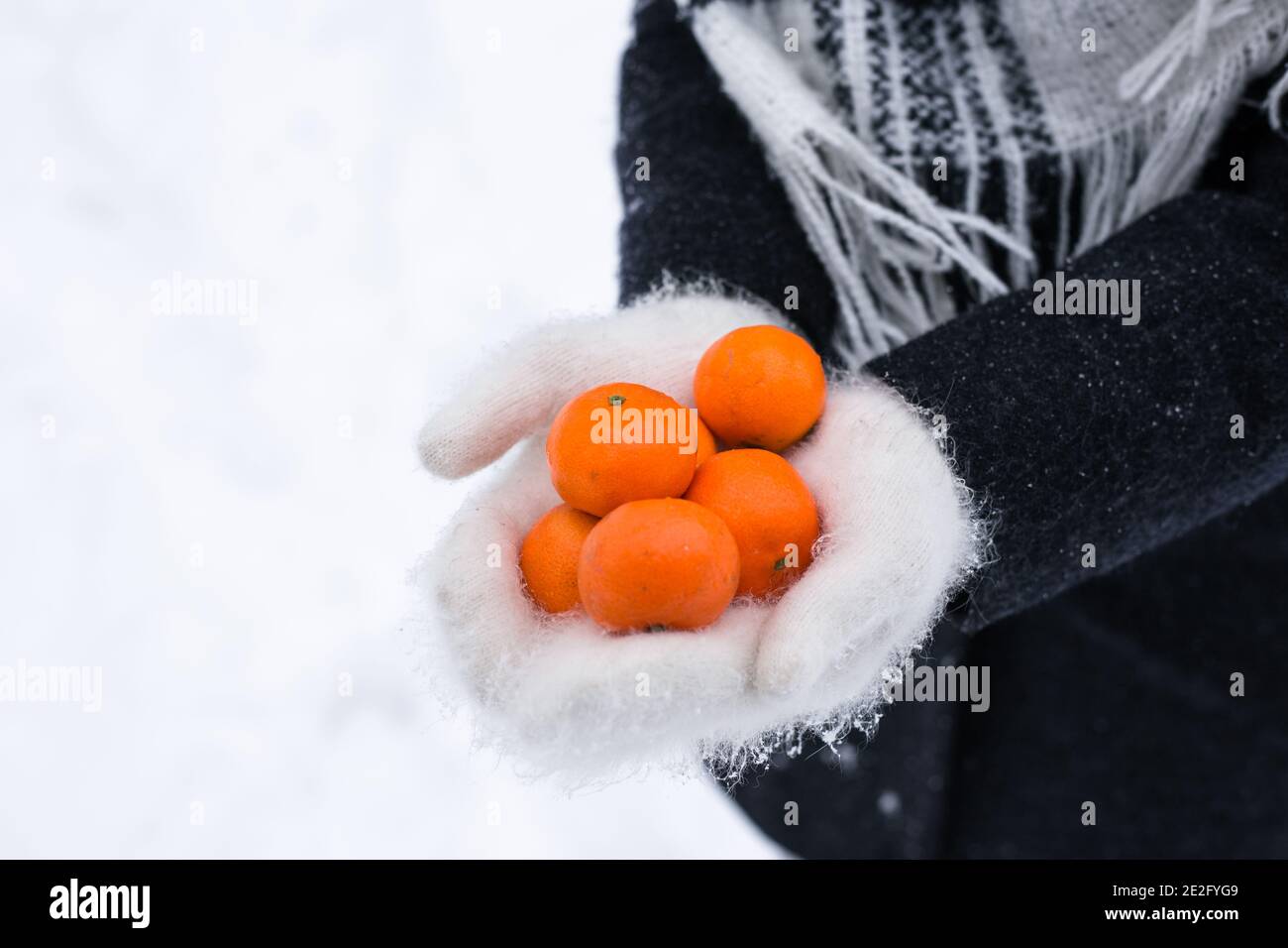 Hands in warm white mittens hold tangerines in winter Stock Photo
