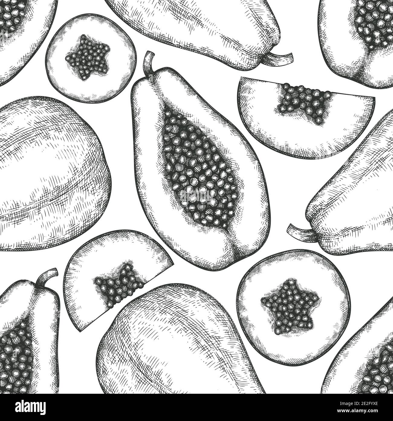Hand drawn sketch style papaya seamless pattern. Organic fresh fruit ...