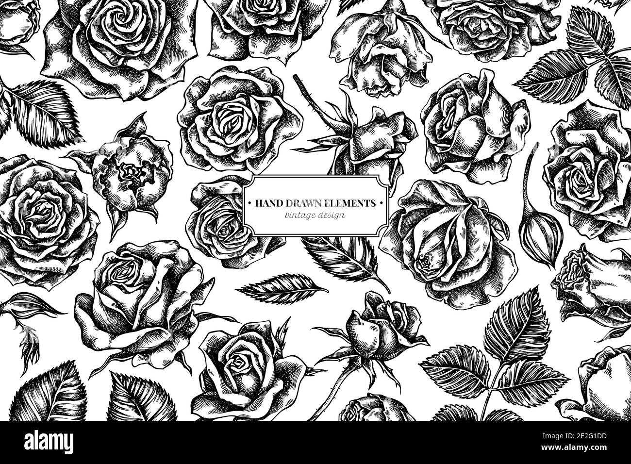 Floral design with black and white roses Stock Vector Image & Art - Alamy