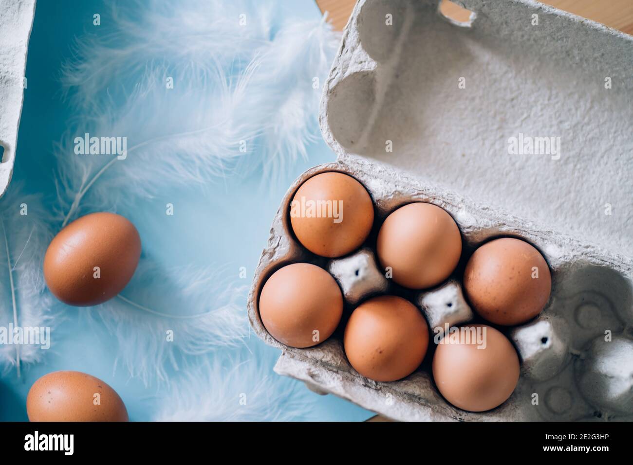 Raw fresh brown chicken eggs and white fluffy birds feathers on light blue background. Selective focus. Organic food, healthy eating, dieting, farm pr Stock Photo