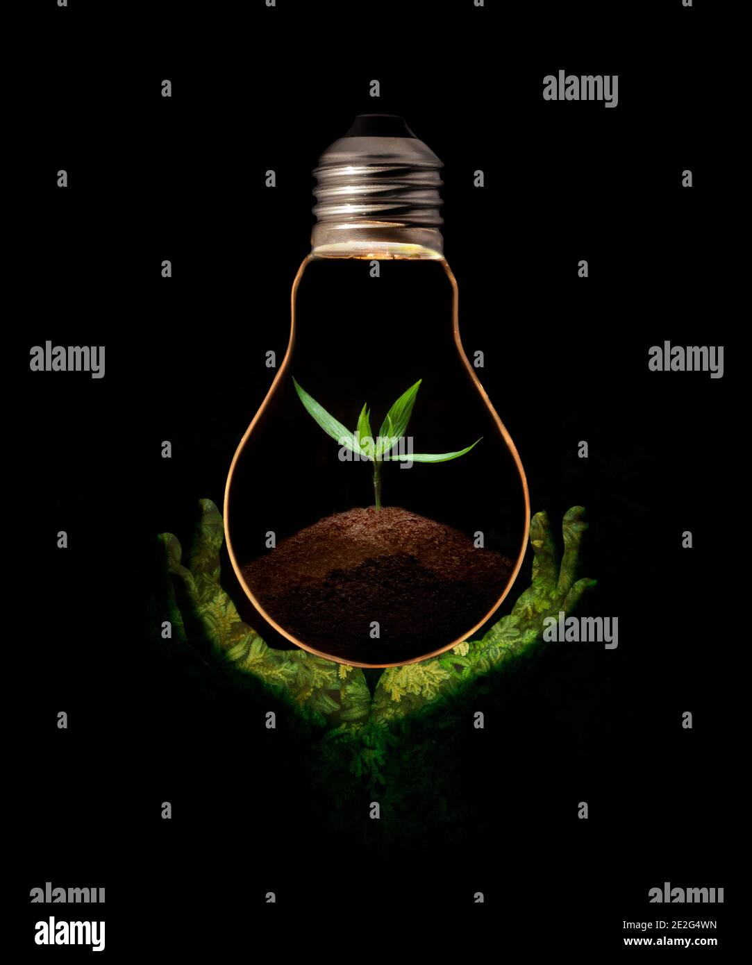 Green hand holding a light bulb with fresh green leaves inside, isolated on black background. Stock Photo