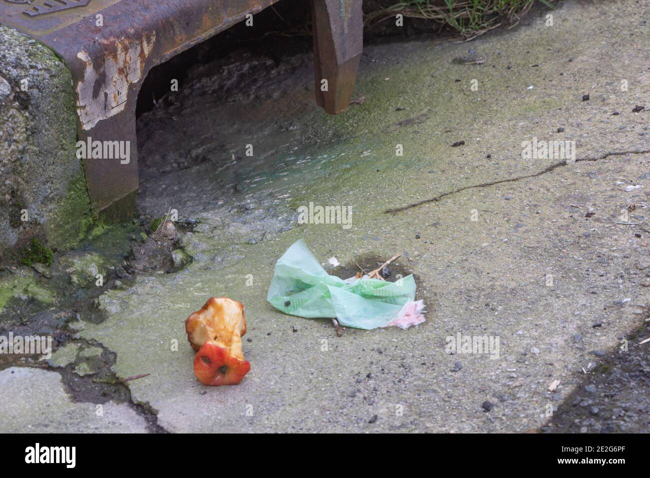 Core of an apple and used tissue, garbage on the road Stock Photo Alamy