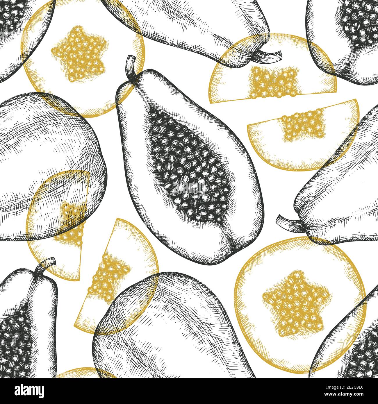 Hand drawn sketch style papaya seamless pattern. Organic fresh fruit ...