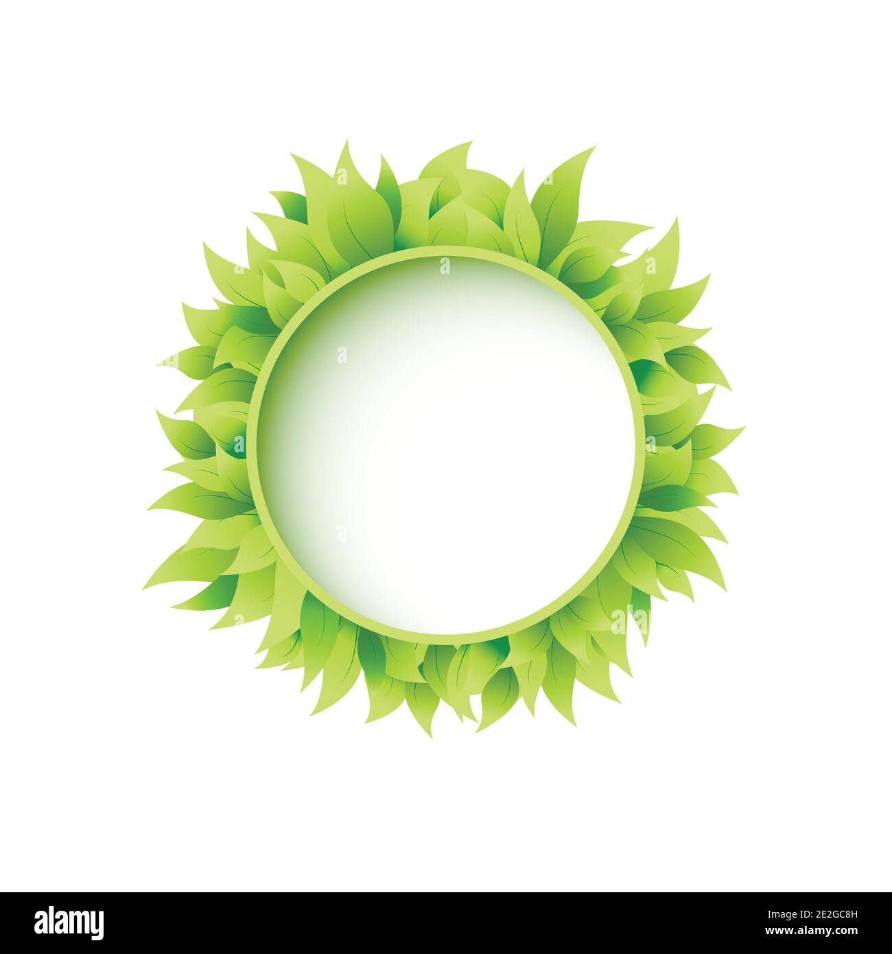 Round wreath with bright green leaves isolated on white. Text box or ...