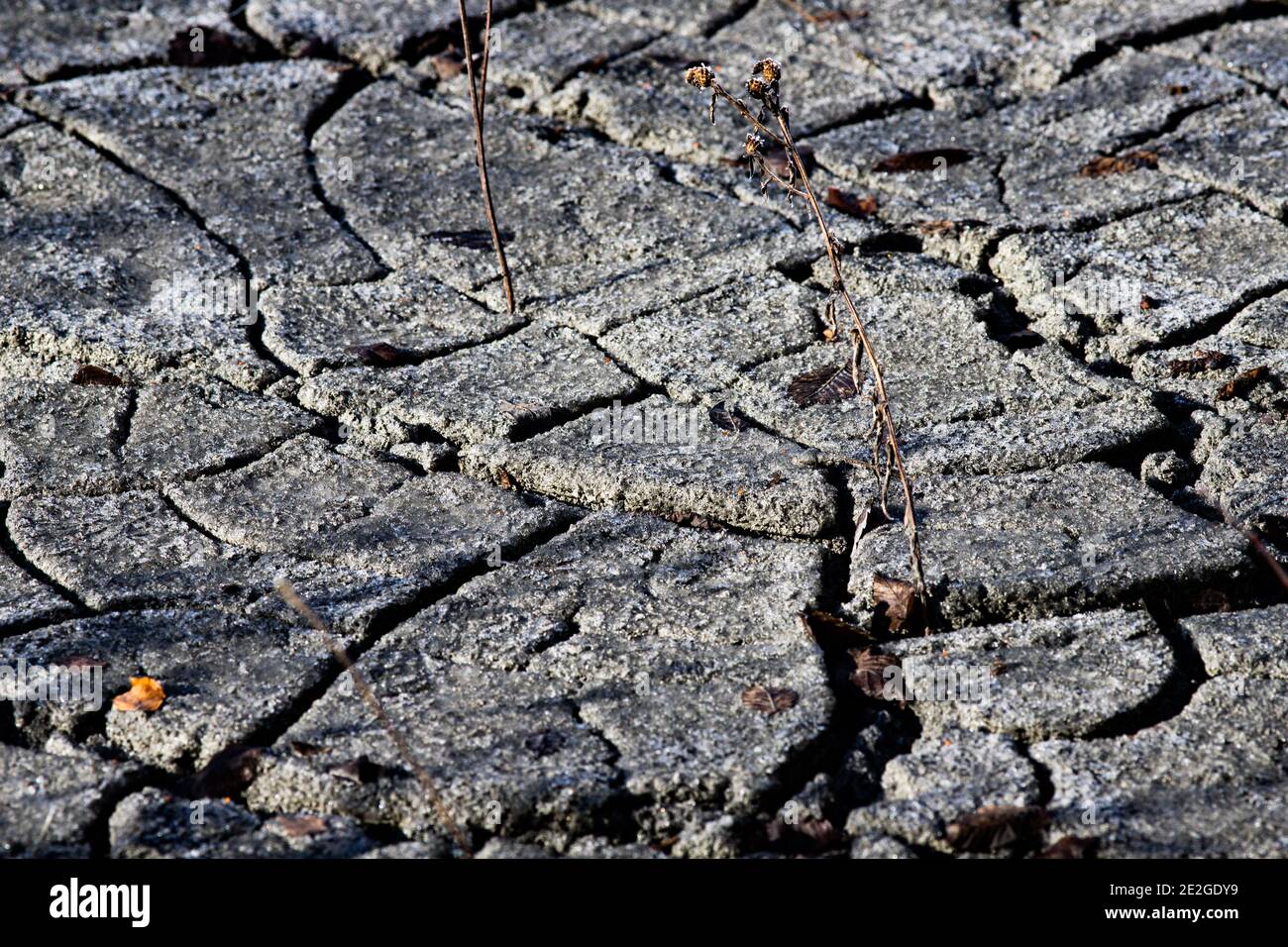 dry cracked land global warming background Stock Photo - Alamy