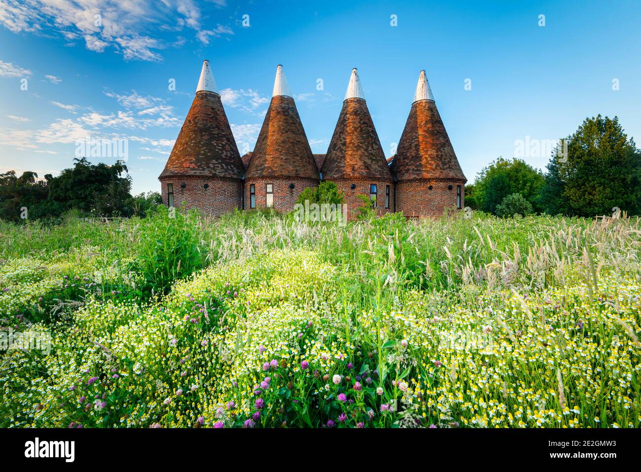 Wildflowers grow in front of a four-round kiln Oast house in the East Kent village of Ickham. Stock Photo