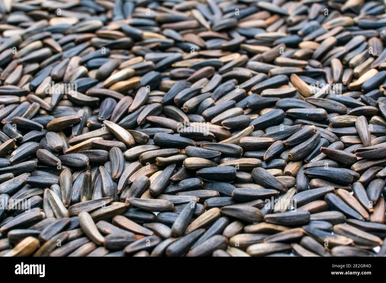 Niger seeds close up for background Stock Photo