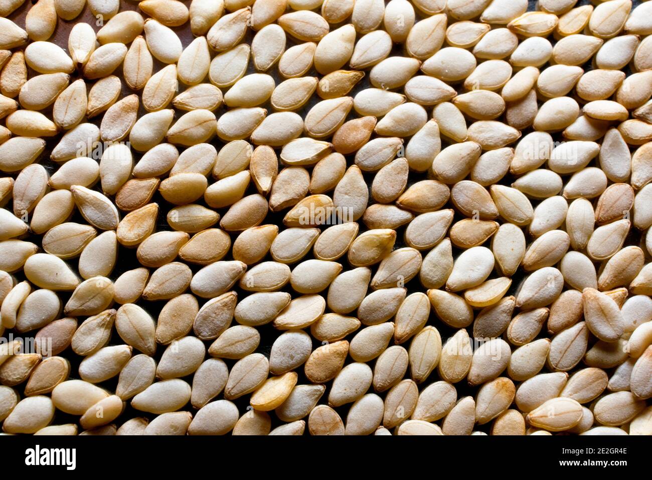 Sesame seeds close up for background Stock Photo Alamy