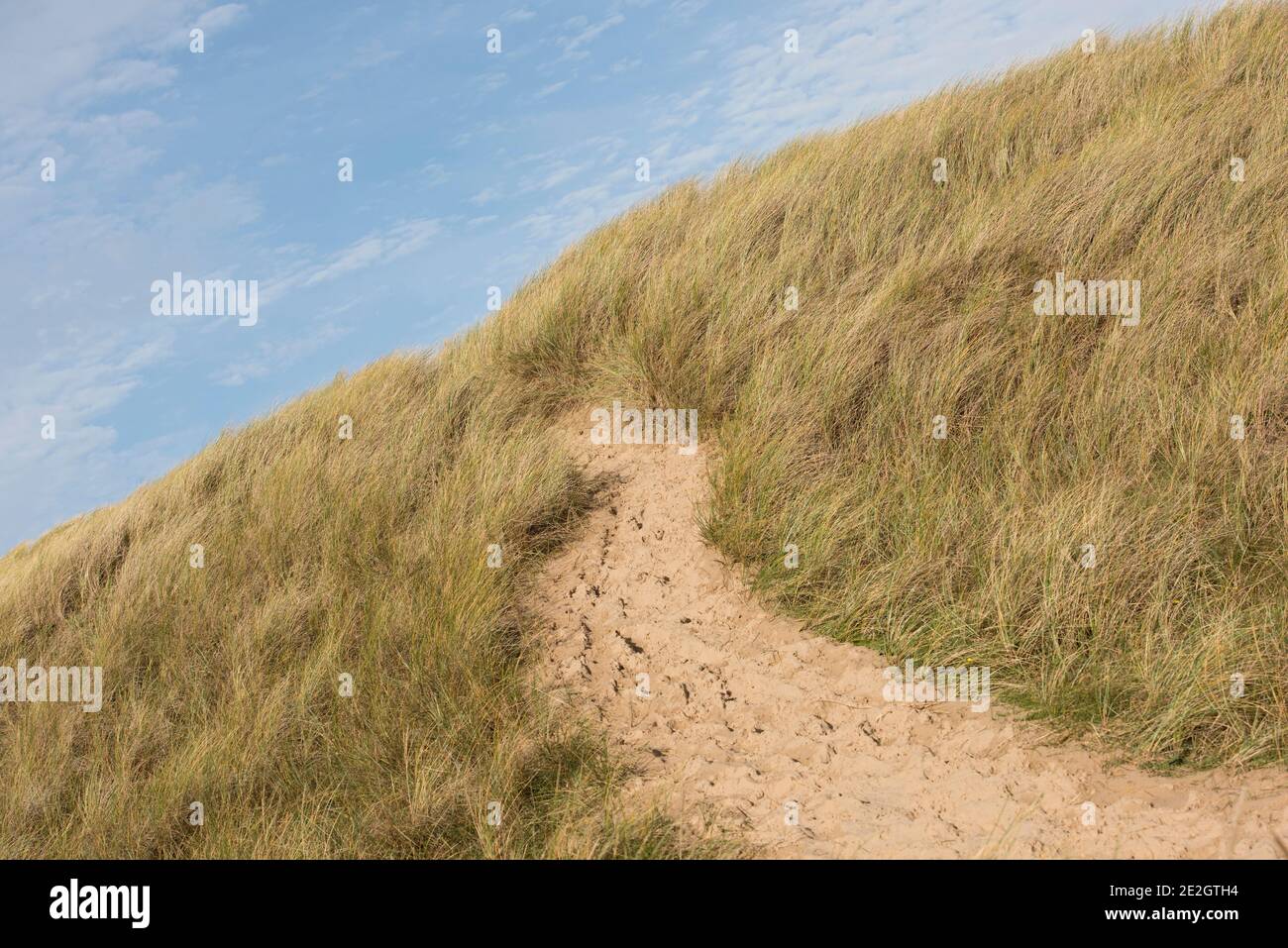 Sand Dune on the Fylde Coast, Lancashire, UK Stock Photo