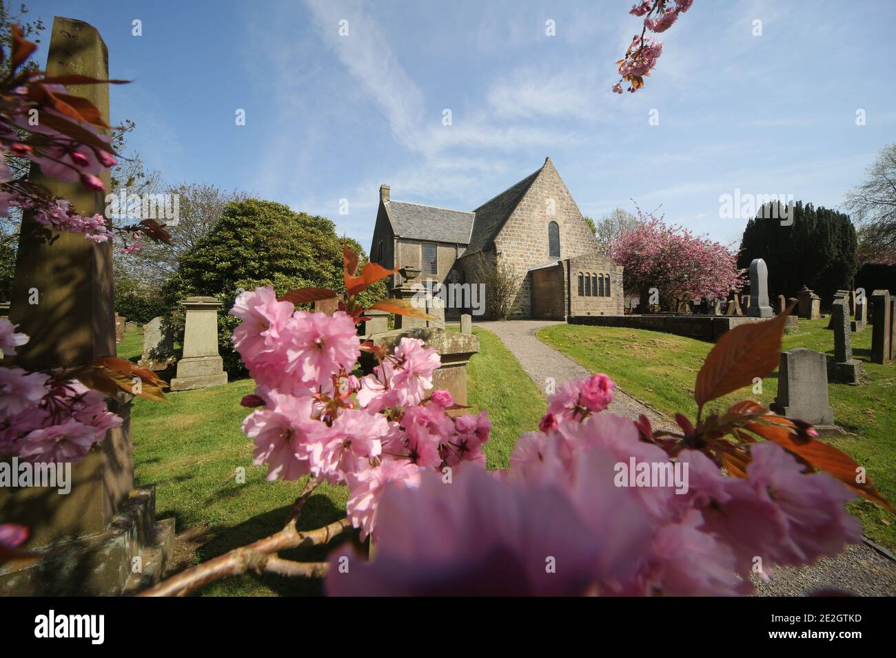 Symington,South Ayrshire, Scotland, UK Spring time blossom , church