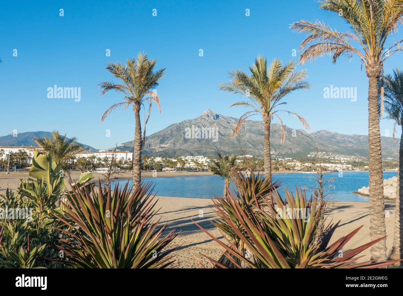 Puerto Banus, near Marbella, Costa del Sol, Andalucia (Andalusia), Spain,  Europe Stock Photo - Alamy