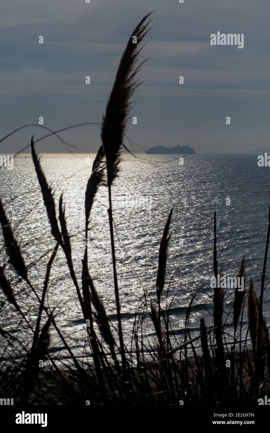 A redundant cruise ship is seen through pampas grasses off of Bournemouth beach in the winter 28 November 2020 Neil Turner Stock Photo