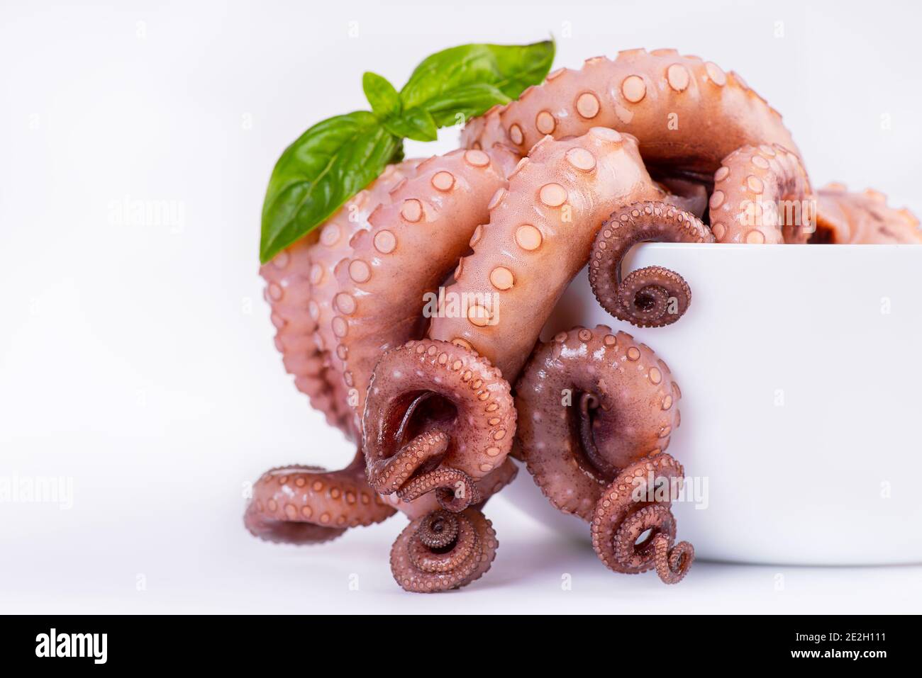 Page 2 Octopus Tentacles Arm High Resolution Stock Photography And Images Alamy