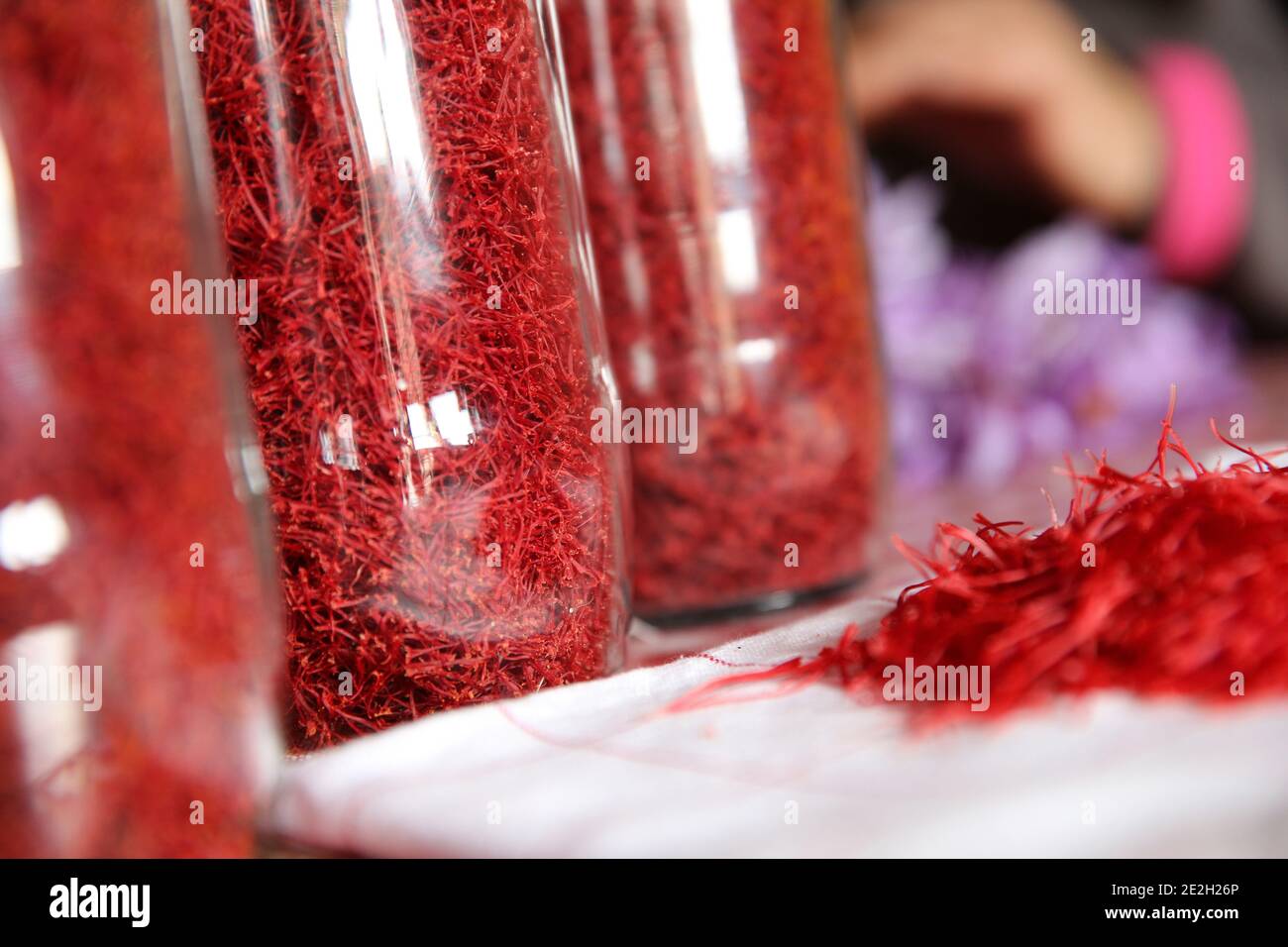 Harvesting, pruning and drying of Quercy saffron. Drying of red stigmas