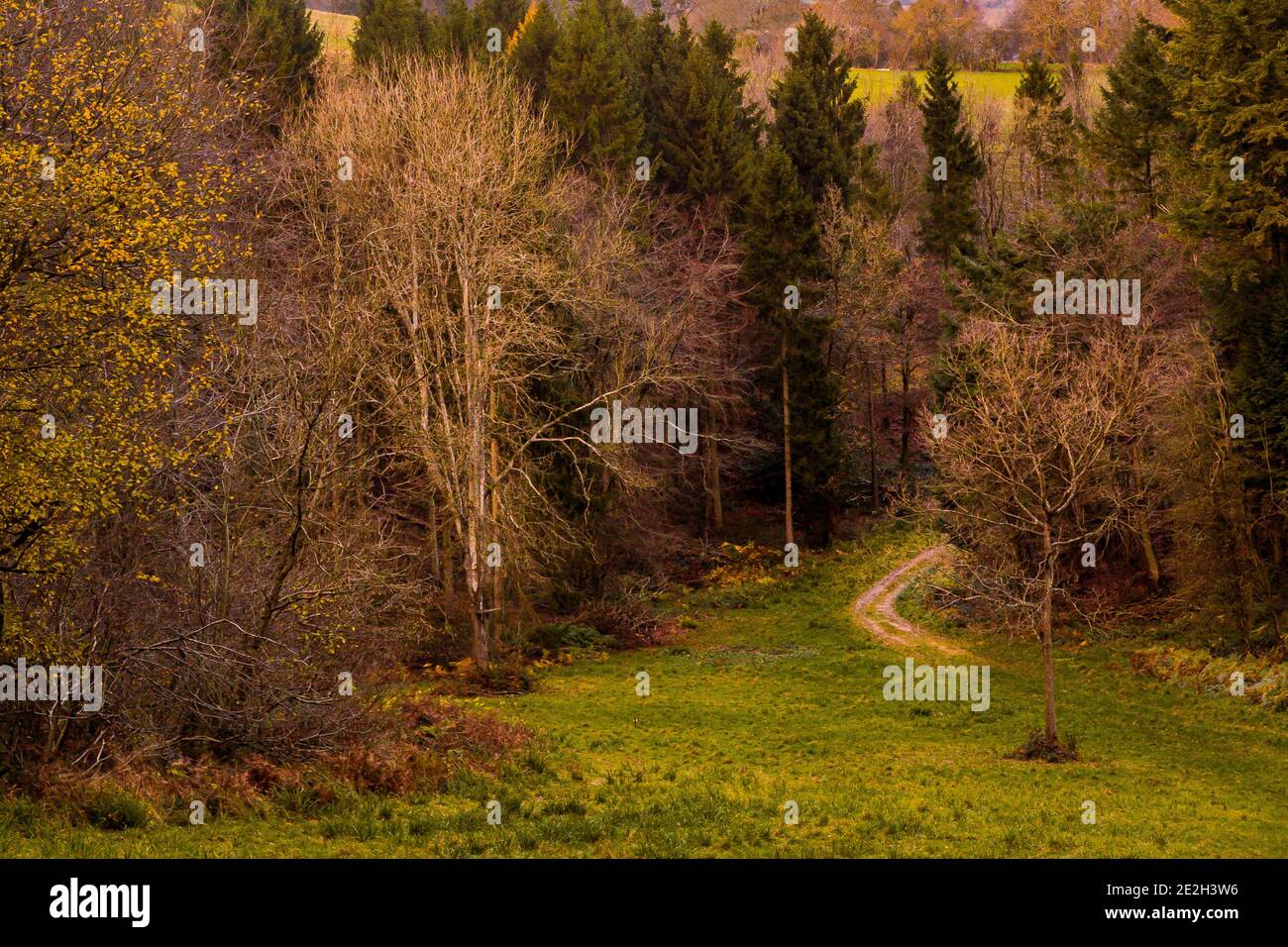 Cowley gloucestershire hires stock photography and images Alamy