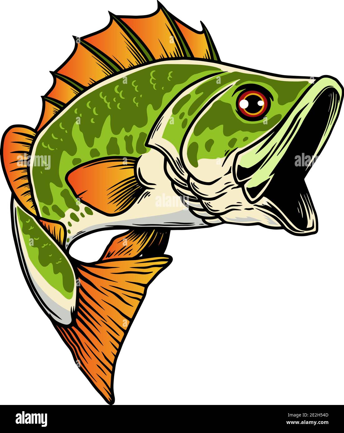 Illustration of bass fish. Big perch. Perch fishing. Design