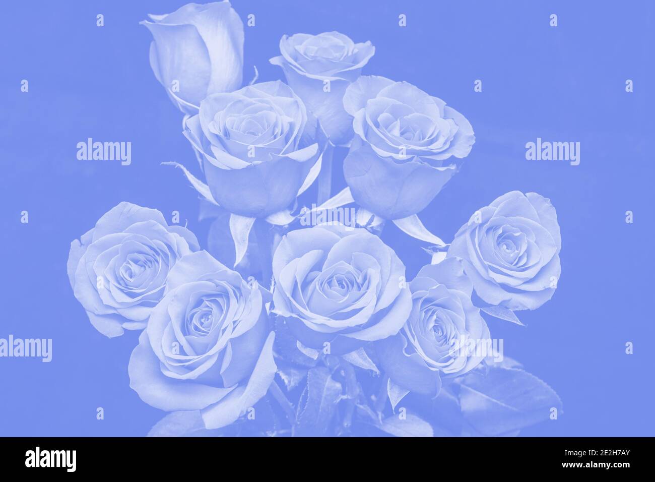 Blue tinting hi-res stock photography and images - Alamy