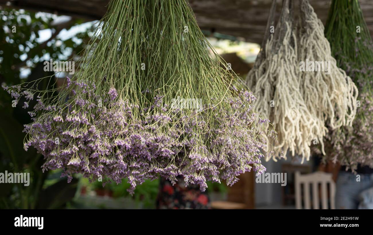 bouquets-of-dried-flowers-hanging-stock-photo-alamy