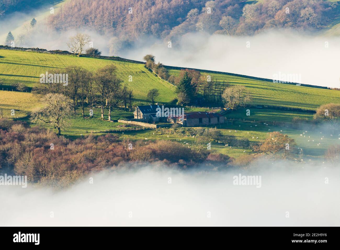 Rural farmland and trees in a beautiful fog filled valley in Mid Wales, UK Stock Photo
