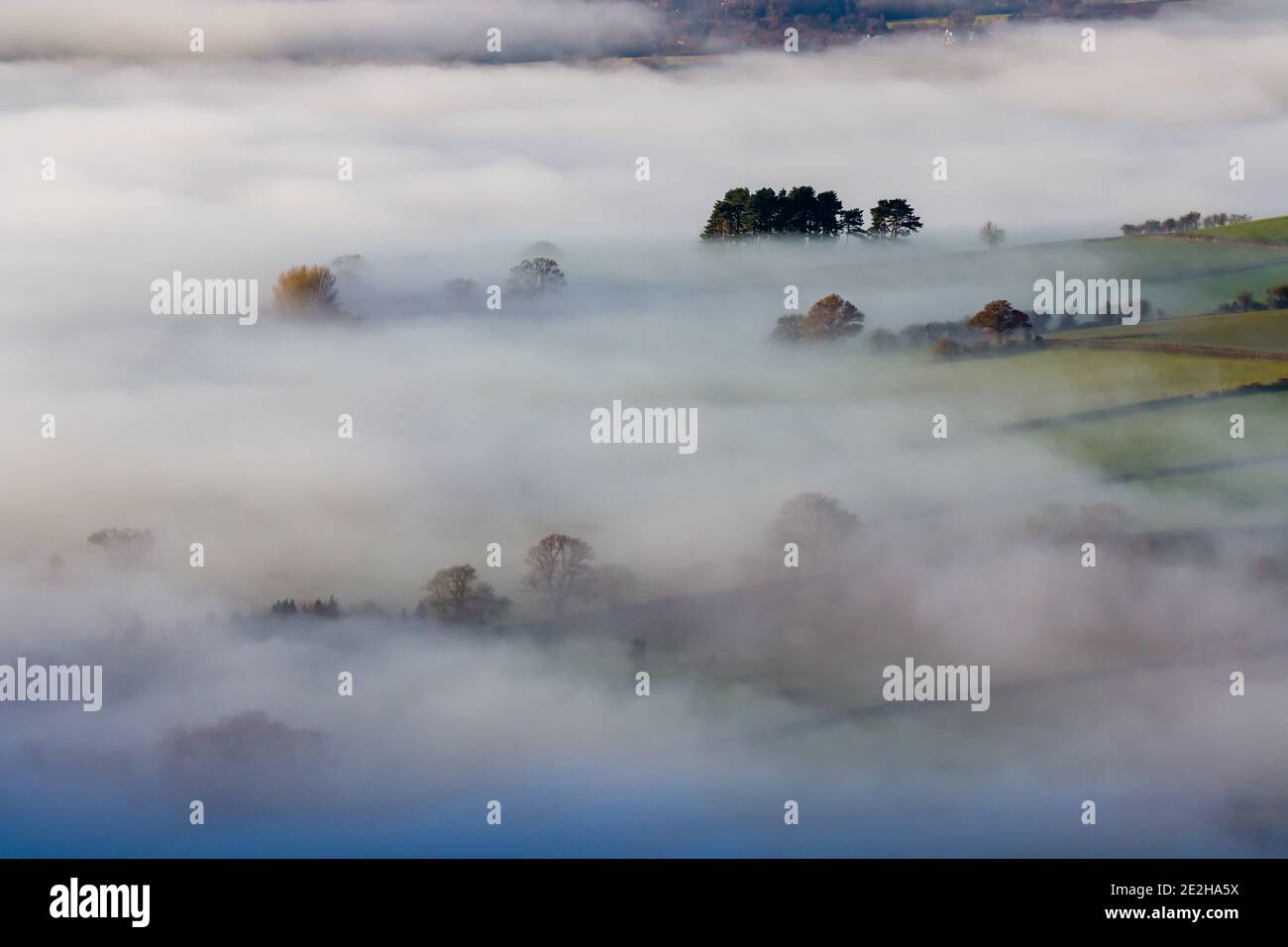 Trees emerging above banks of fog over farmland in a beautiful rural valley (Wales) Stock Photo
