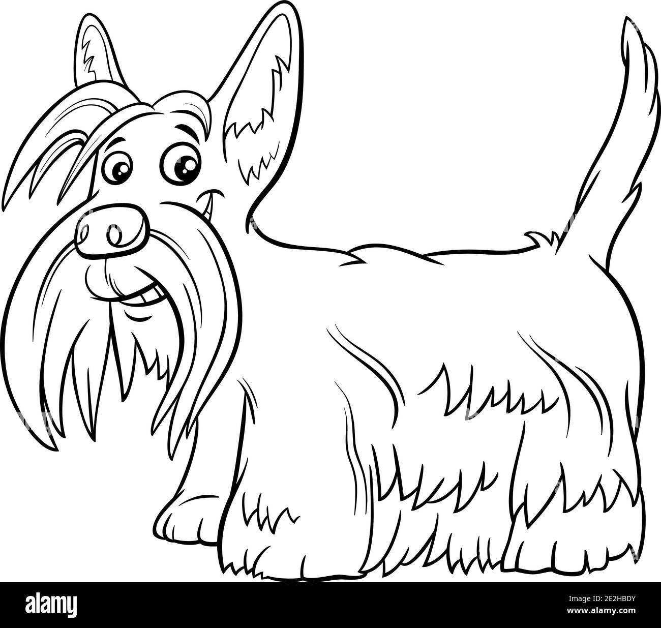 Black and white cartoon illustration of Scottish Terrier purebred dog animal character coloring book page Stock Vector