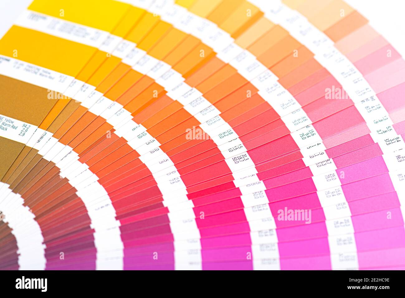 Paper color palette, palette guide as yellow, orange, pink, red color,  top view Stock Photo