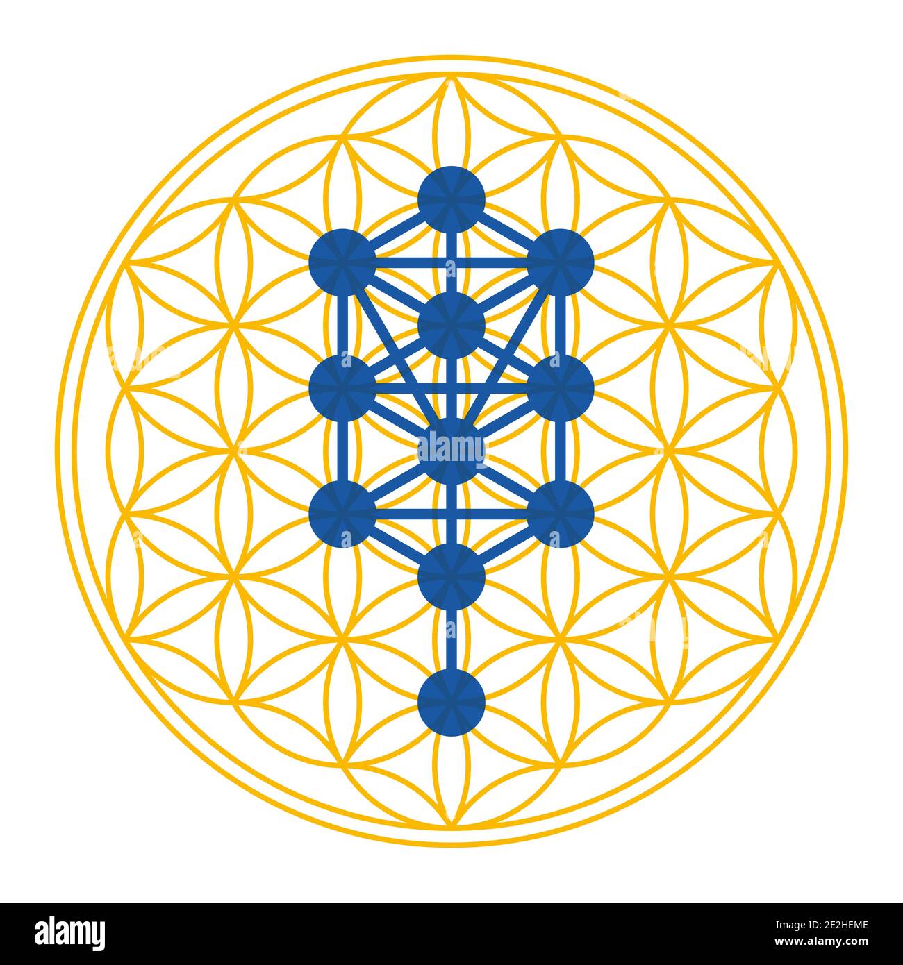 Tree of Life symbol derived from the Tree of Life. Diagram, used in mystical traditions such as Hermetic Qabalah, over symbol of overlapping circles. Stock Photo