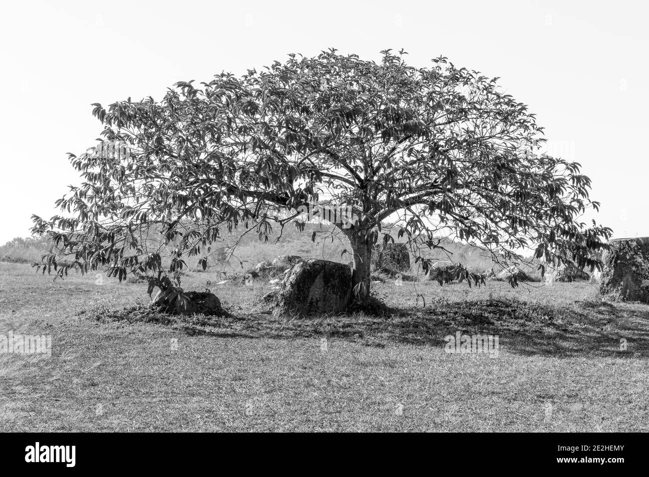 Plain of jars Black and White Stock Photos & Images Alamy