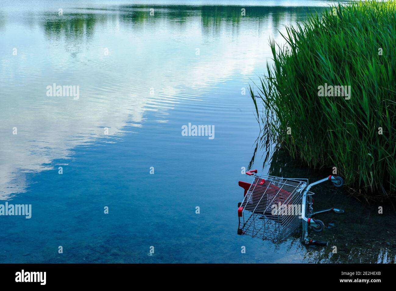 I don't need my shopping cart anymore. Caddy pushed in the water of the lake in the suburbs near Strasbourg, France. Stock Photo