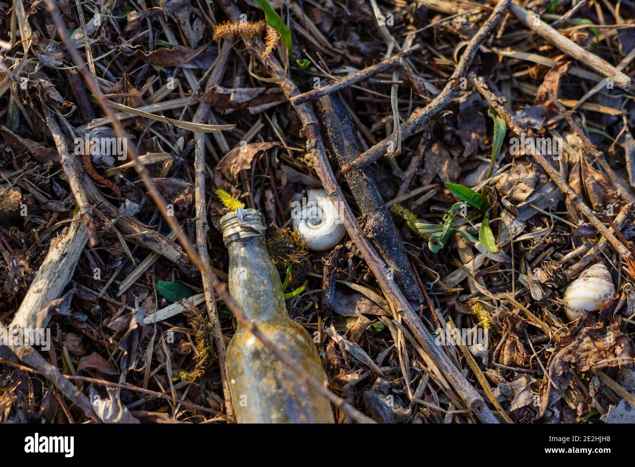 Junk Shells Selective focus shot of a bottle, snail shells, worms, and junk in a ...