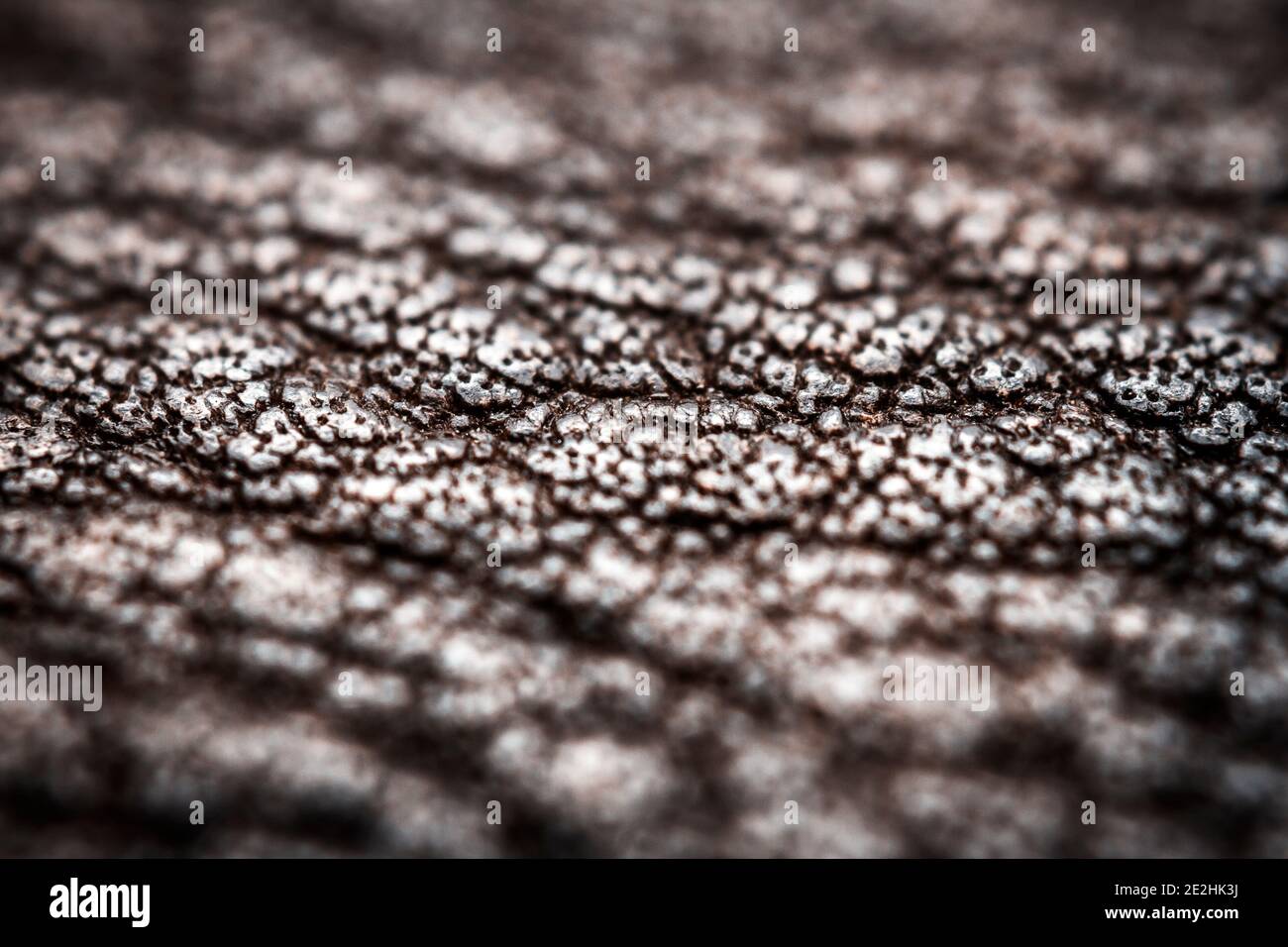 Extreme closeup of a leather, shallow deph of field. Macro for brown leather. Stock Photo