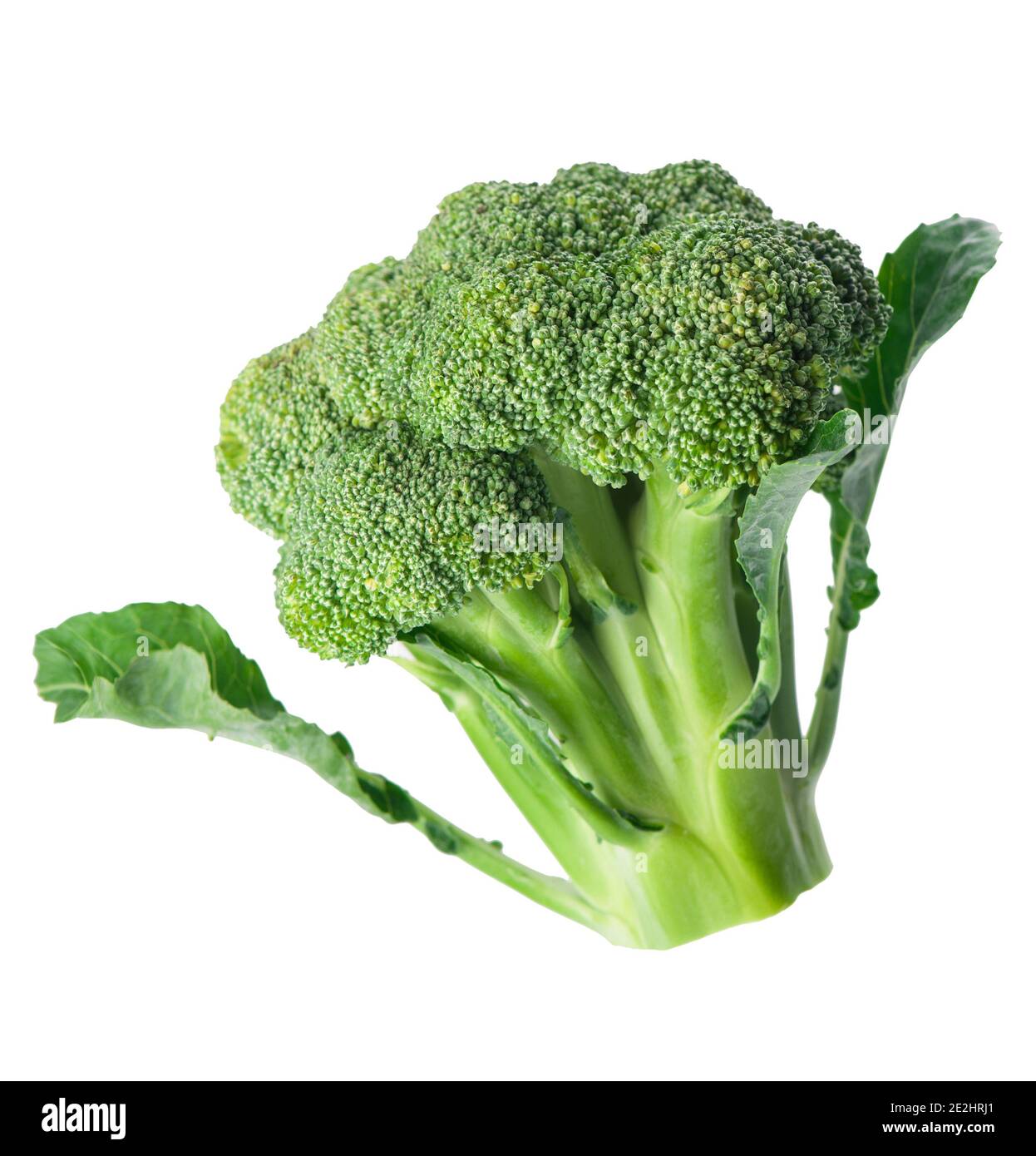 fresh green broccoli isolated on white background. Stock Photo