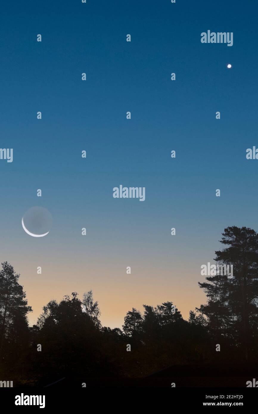 Collage of silhouetted trees set against moon and planet Mars Stock Photo