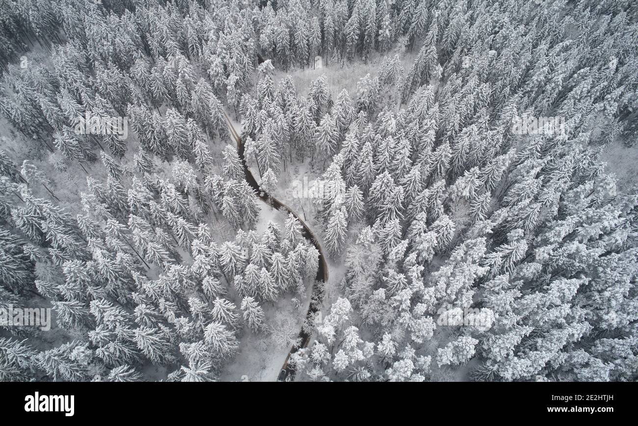 Curved road in frozen forest above top drone view Stock Photo
