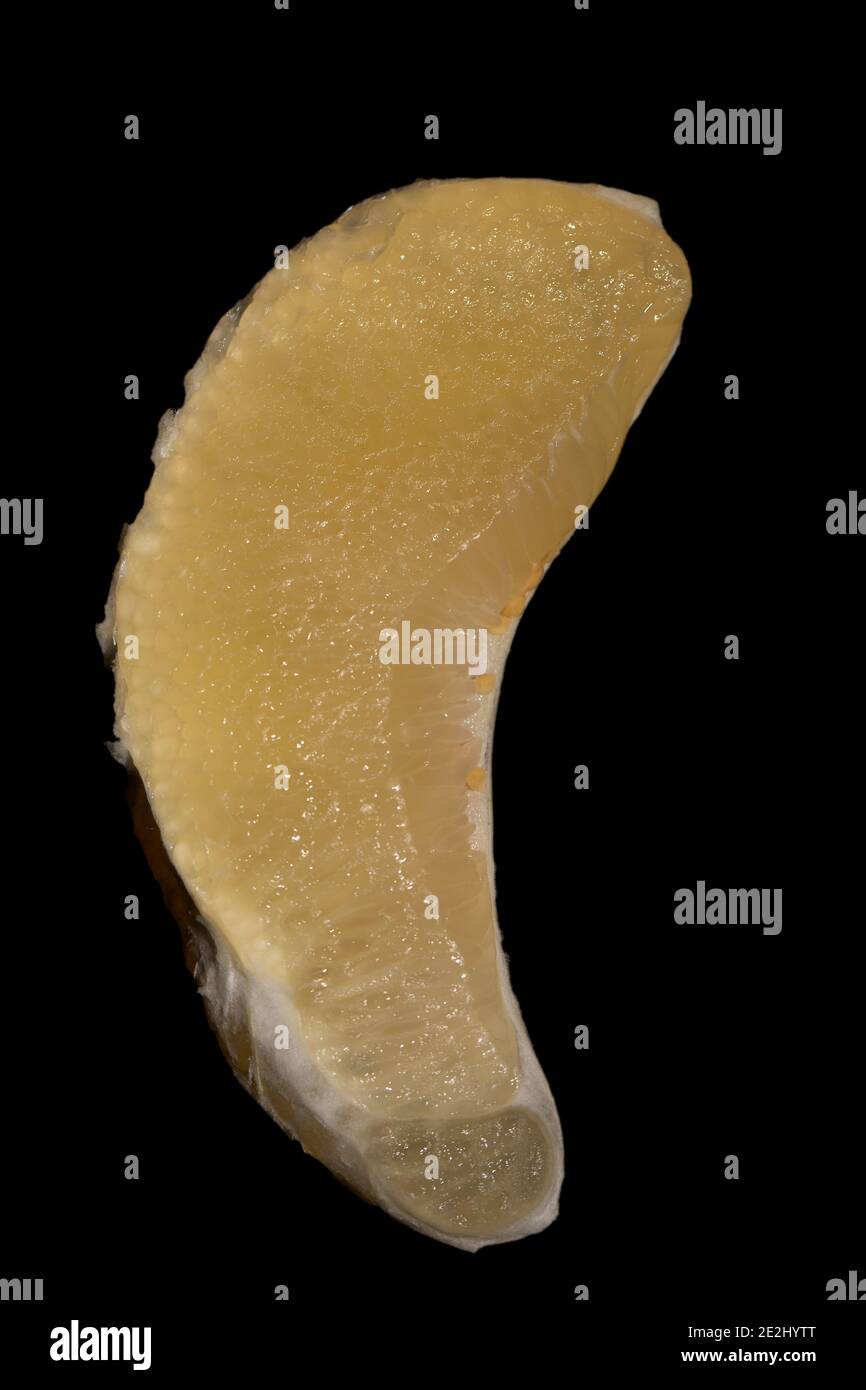 Pomelo chinese citrus fruit hires stock photography and images Alamy