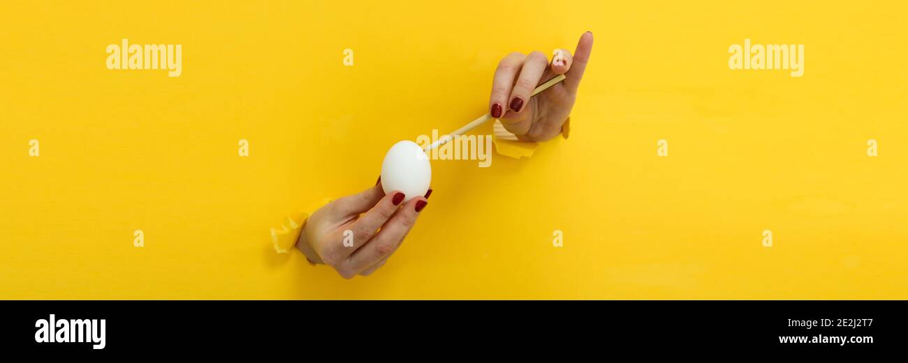 Oblong web sized banner with an easter egg concept: hands reaching out of a yellow coloured cardboard painting a white egg with lots of space for text Stock Photo