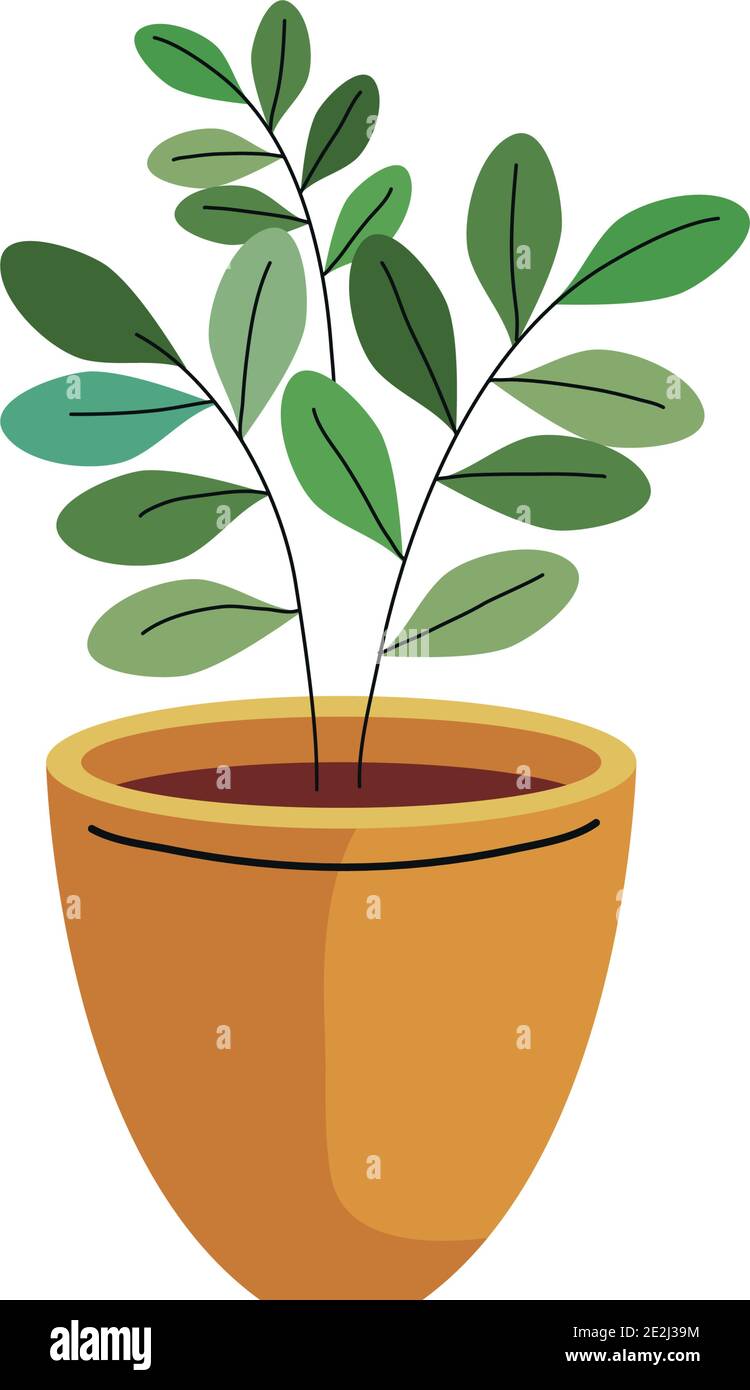 house plant in ceramic pot yellow color Stock Vector Image & Art - Alamy