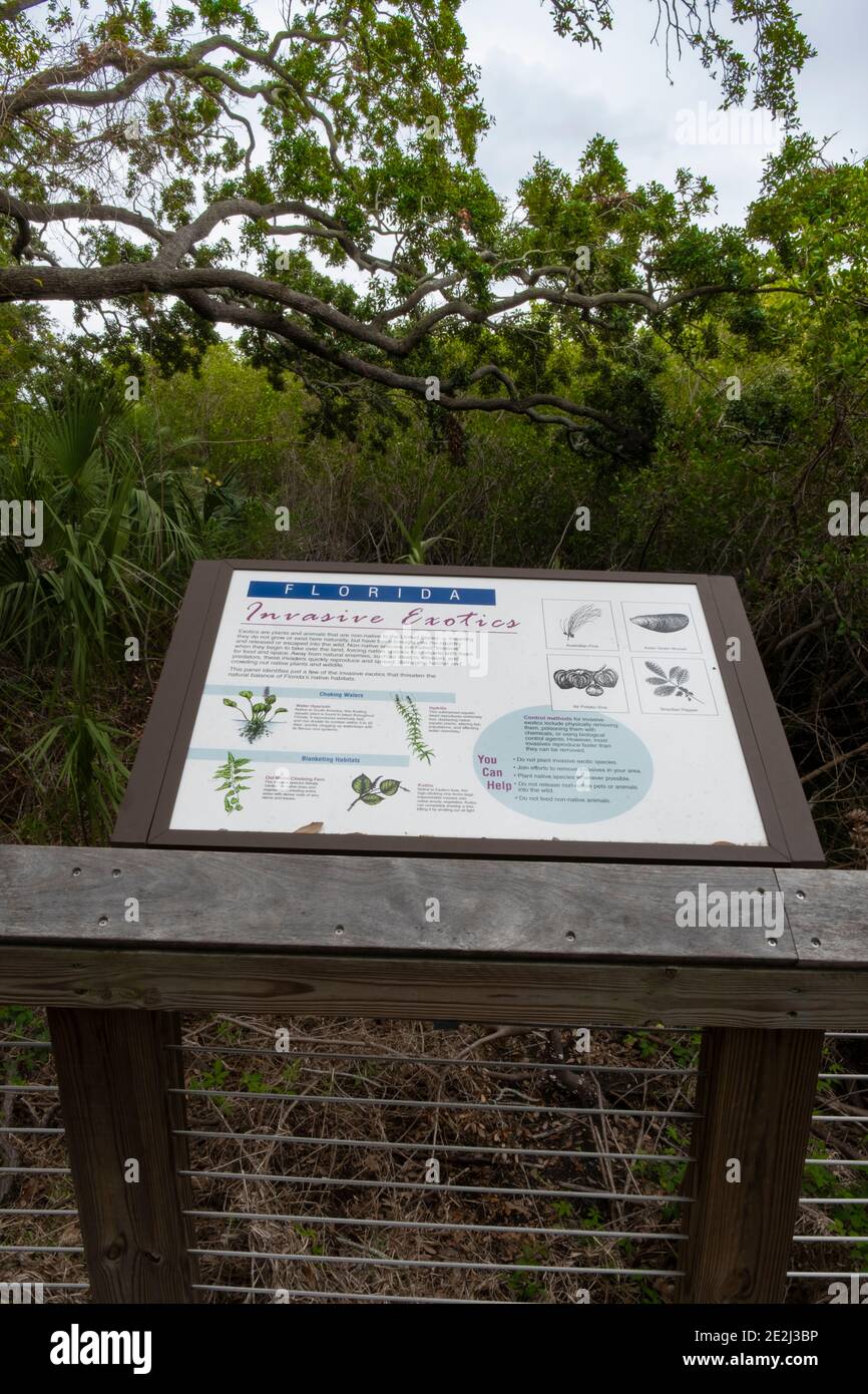 Invasive Exotics Sign, Mullet Creek Park, Safety Harbor, Florida Stock Photo