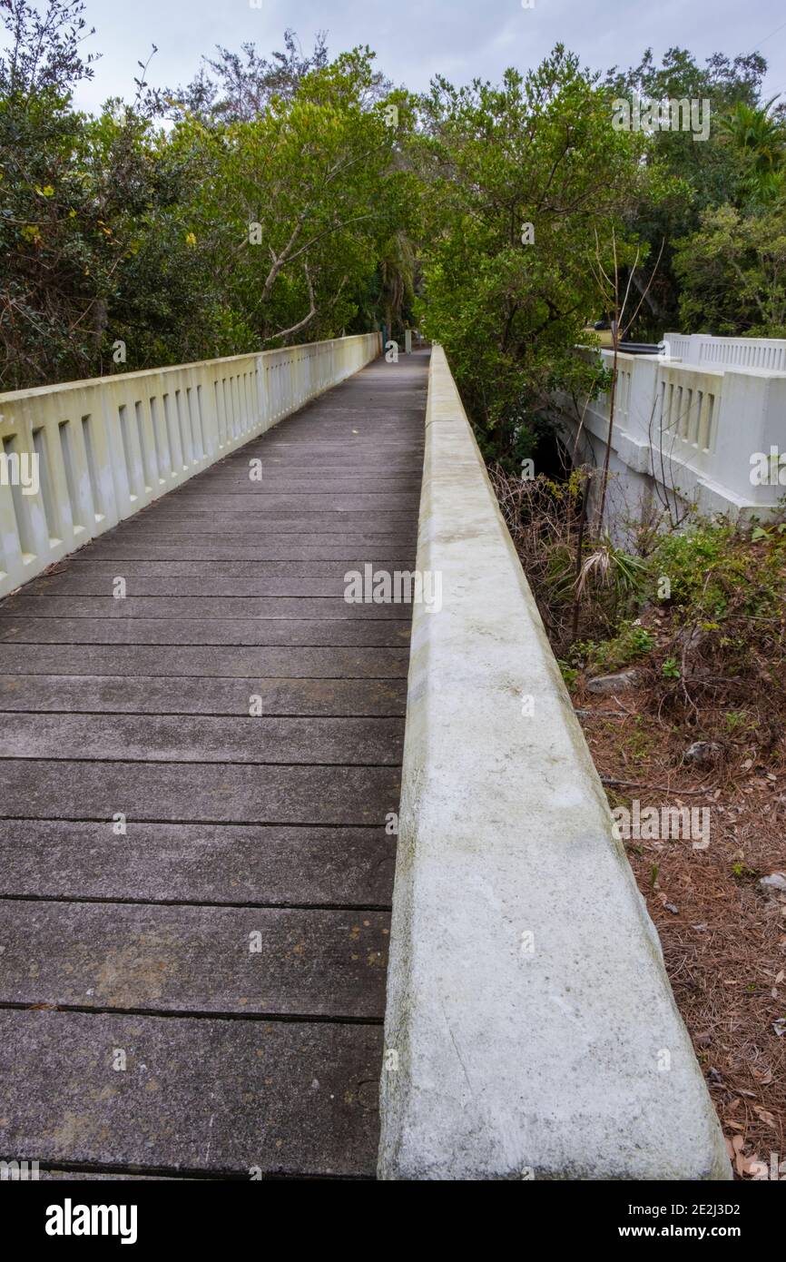 Moss covered bridge, Safety Harbor, Florida Stock Photo