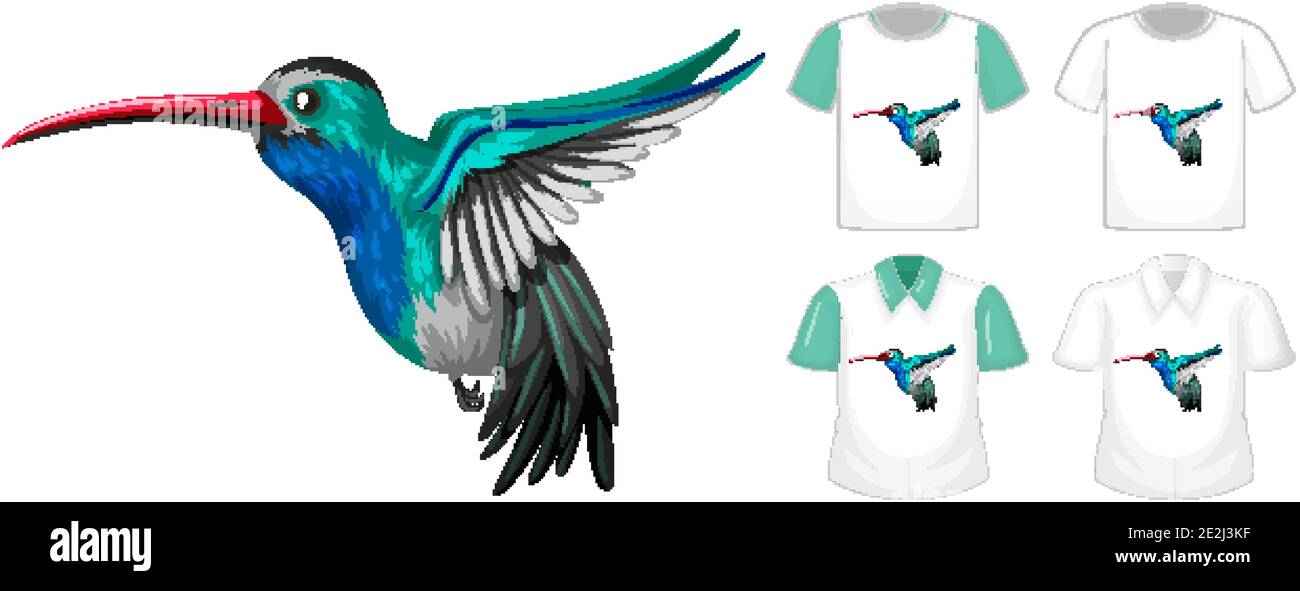 Birds of Little Bird Comfy T-Shirts - 5 Patterns
