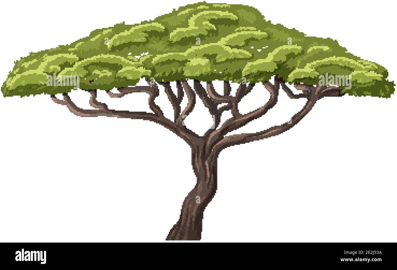 Isolated tree on white background illustration Stock Vector Image & Art ...