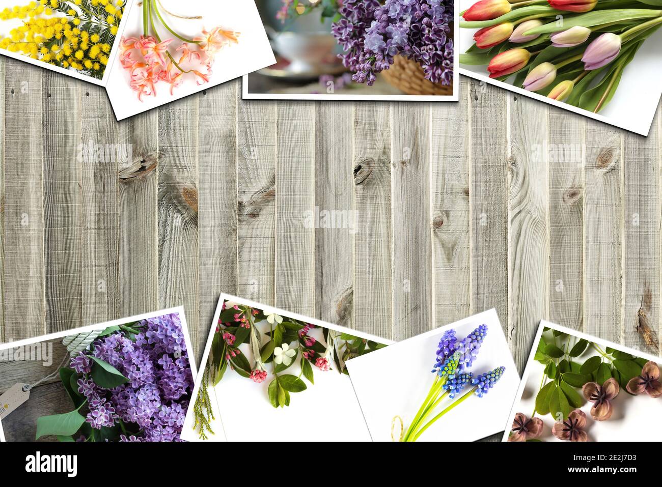 Wallpaper Spring Flowers Collage