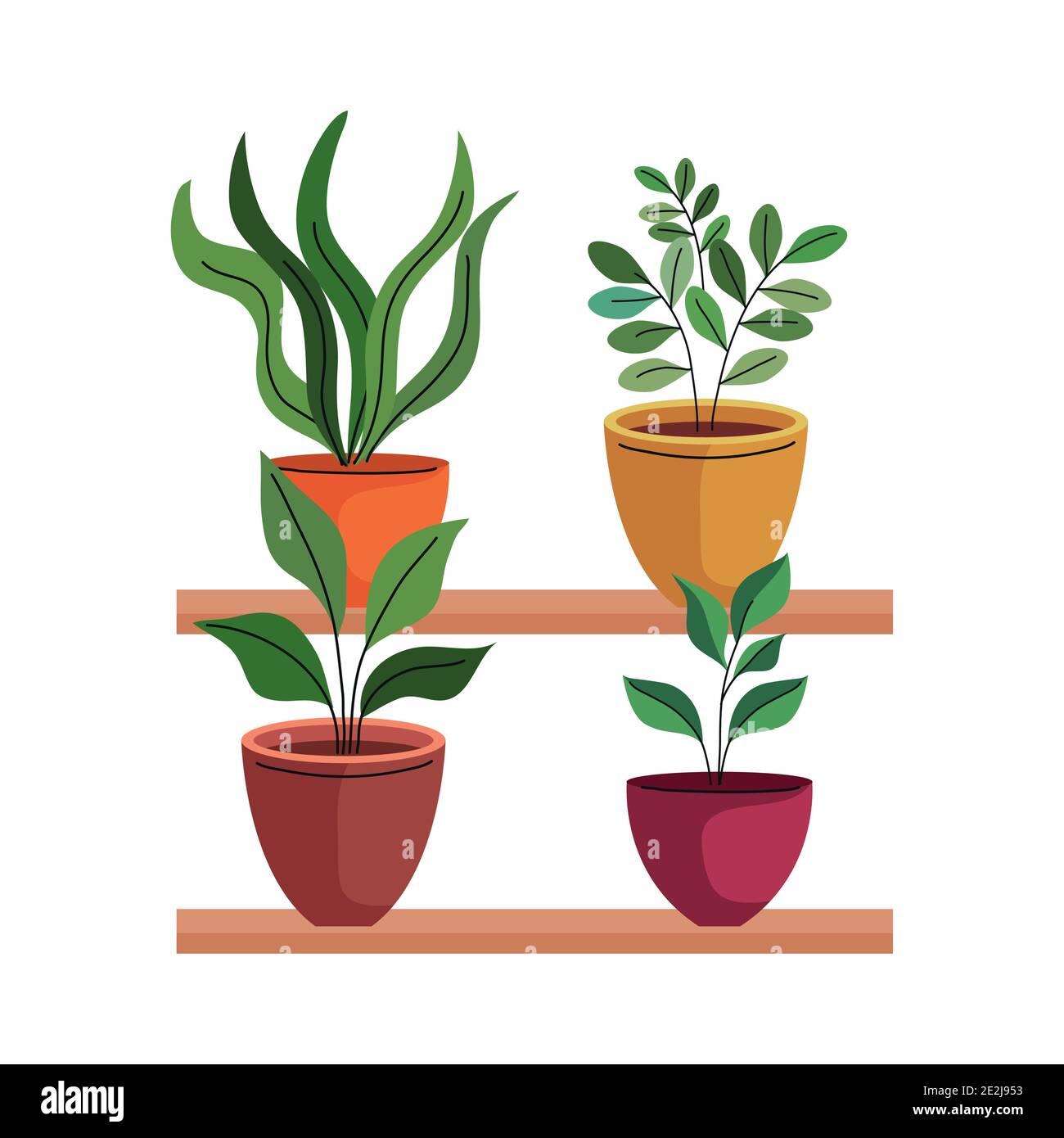 Ceramic Pots For Houseplants
