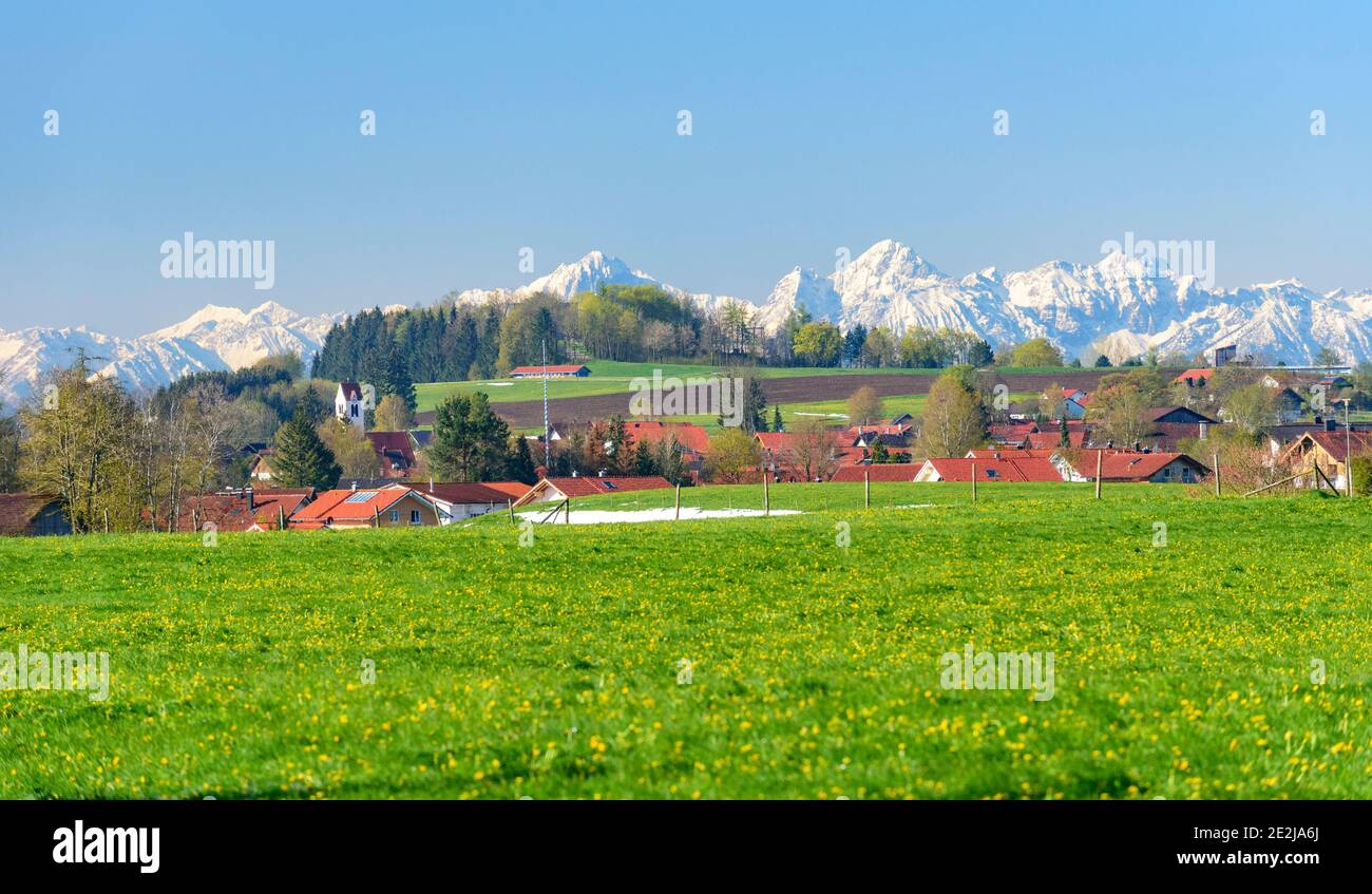 Early springtime nature in bavaria Stock Photo - Alamy