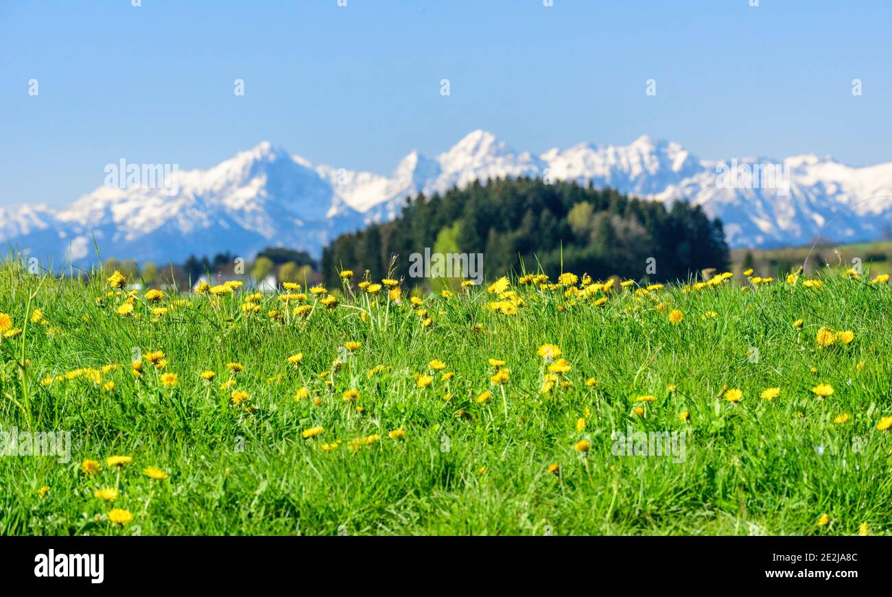 Early springtime nature in bavaria Stock Photo - Alamy