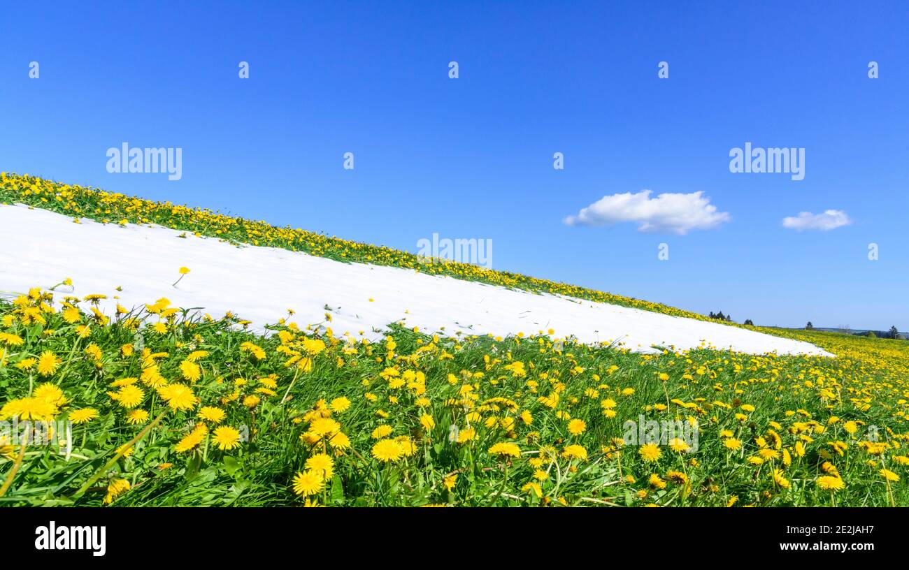 Early springtime nature in bavaria Stock Photo - Alamy