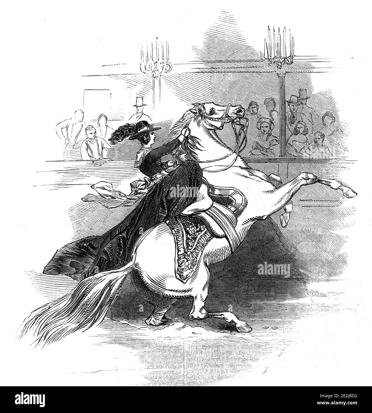 Astley's - scene in the Circle, 1845. Show at Astley's Amphitheatre in London, featuring '...Madame Klatt, the very clever female equestrian, of whose daring performances we have more than once had occasion to speak in noticing the equitation at this theatre. She is represented in one of her most effective feats, which is always greeted with rounds of loud applause - causing her milk-white charger to rear up until he almost appears to be in danger of falling back upon his intrepid rider'. From &quot;Illustrated London News&quot;, 1845, Vol VII. Stock Photo