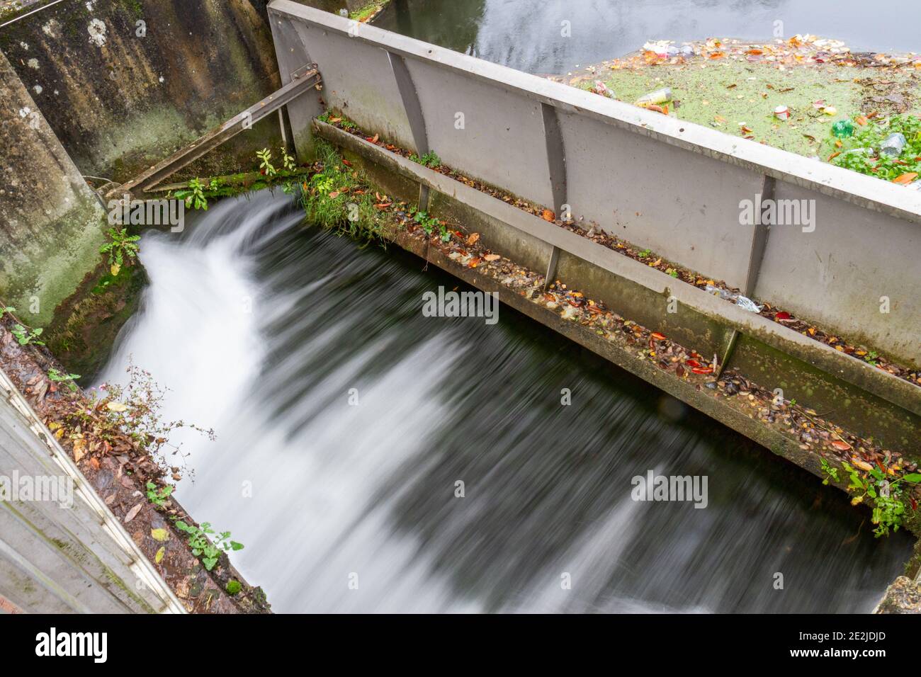 Avon river salisbury hi-res stock photography and images - Alamy