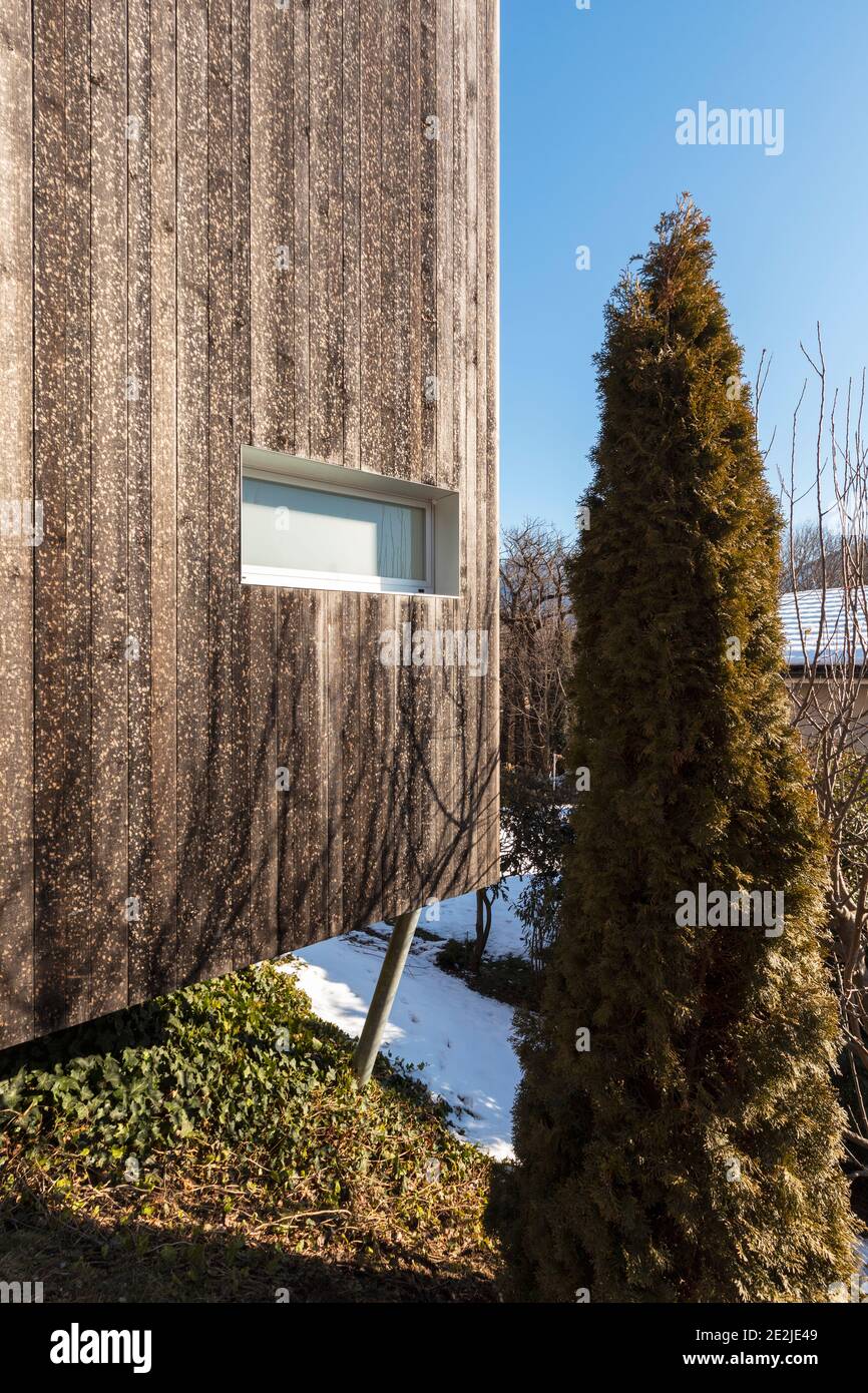 Detail of modern wooden house with a window and a tree by its side ...