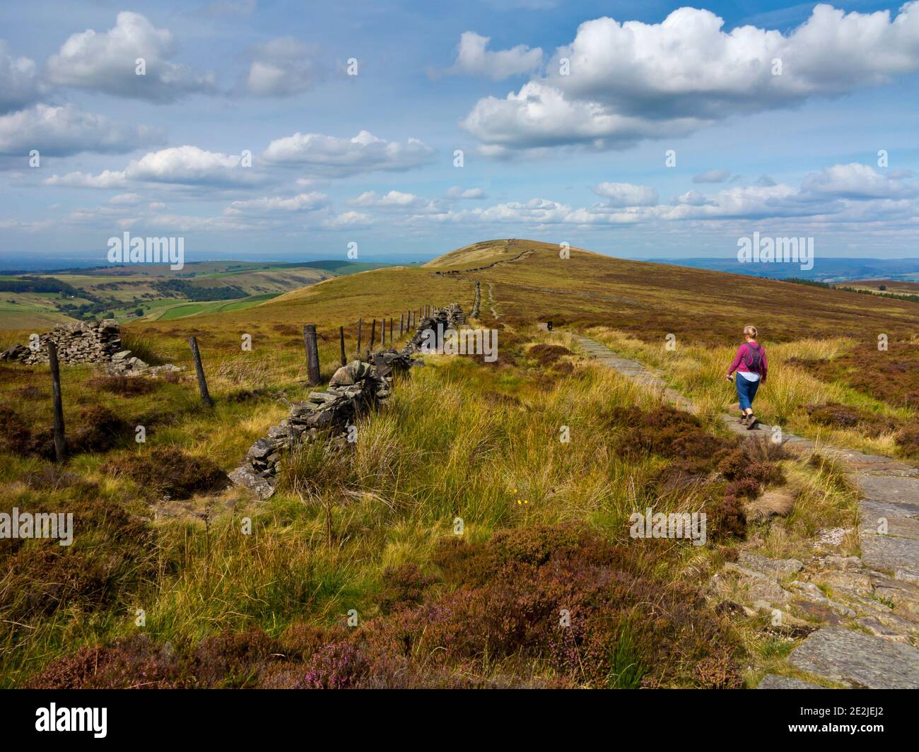 Woman walking on footpath between Shining Tor and Cats Tor on the Derbyshire and East Cheshire county border in the Peak District England UK Stock Photo
